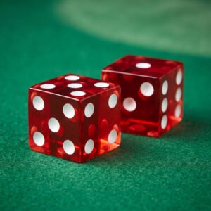 Precision Casino Dice Set